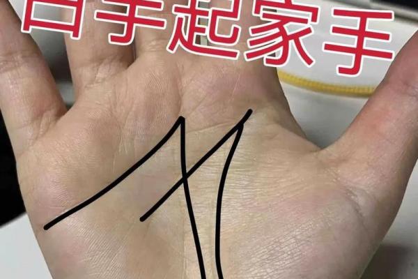 手相手心，揭秘你的财运元宝之谜