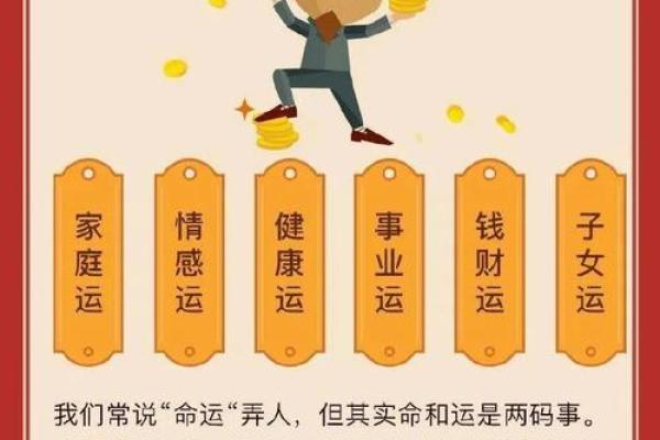 年生的岁，揭秘你的运势密码
