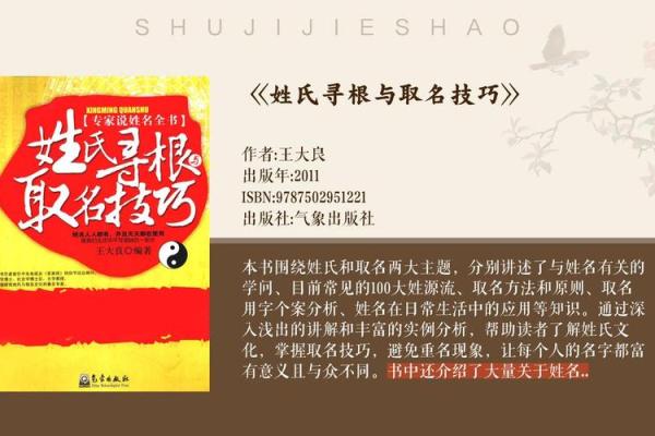 给公司起名字：如何选择一个寓意深远的“嘉大全”