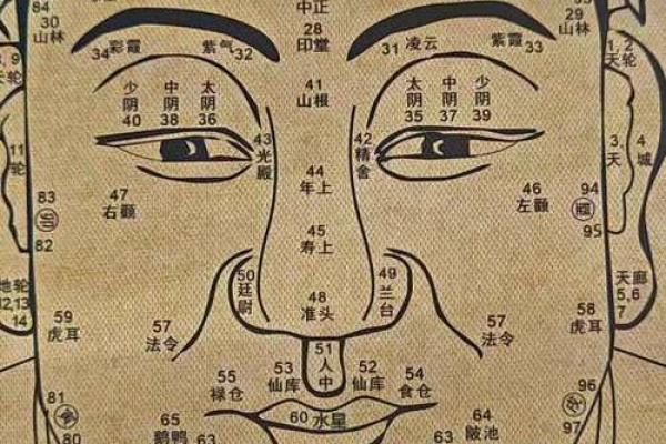 痣相贱，揭秘成功人士的神秘面纱