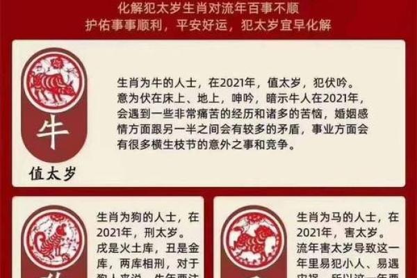 揭秘：凶生肖背后的神秘力量，你了解多少？