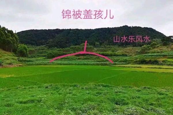 揭秘广东历代状元风水秘籍：传承千年的状元风水之谜