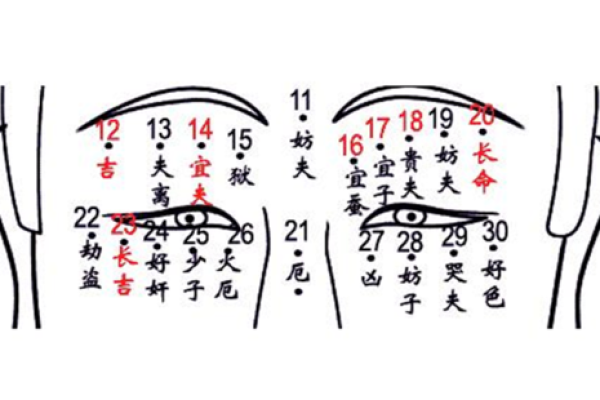 手相痣相，解读你的命运密码
