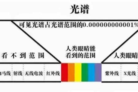 八字有根到底意味着什么？你可能从未听过的真相
