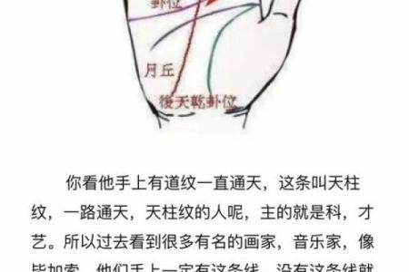 揭秘手相婚姻线格子纹：揭秘你的爱情运势密码