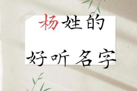 杨起名技巧大揭秘，如何给杨姓孩子起个寓意深远的名字