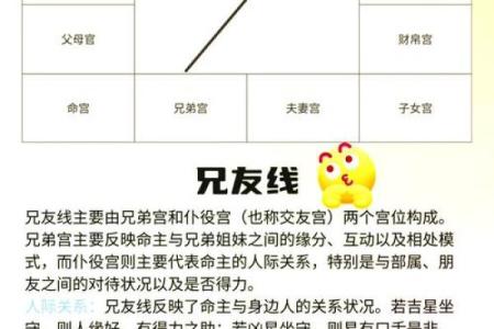 斗数飞星在线排盘：揭秘你的命运轨迹！