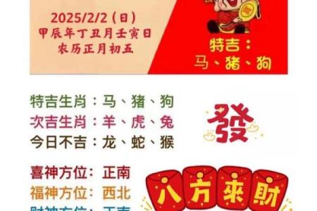 月影生肖，生肖月影之谜
