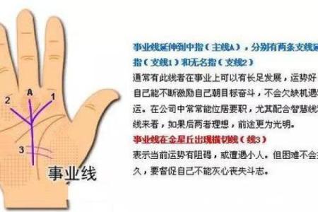 智慧线起得高，运势必定旺揭秘手相智慧线，带你走进神秘命理世界