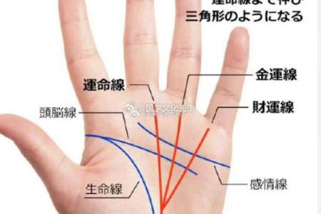手相手心，揭秘你的财运元宝之谜
