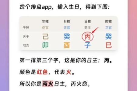 年生的岁，揭秘你的运势密码