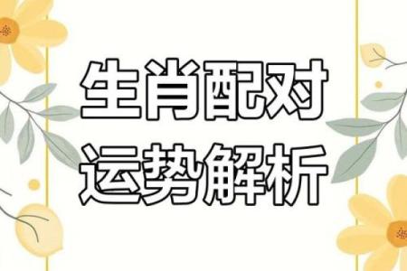 生肖相伴，幸福同行：揭秘12生肖最佳搭配
