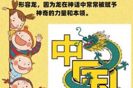 揭秘：凶生肖背后的神秘力量，你了解多少？