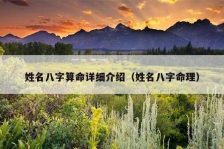 琼字五行属性揭秘：如何影响你的命运