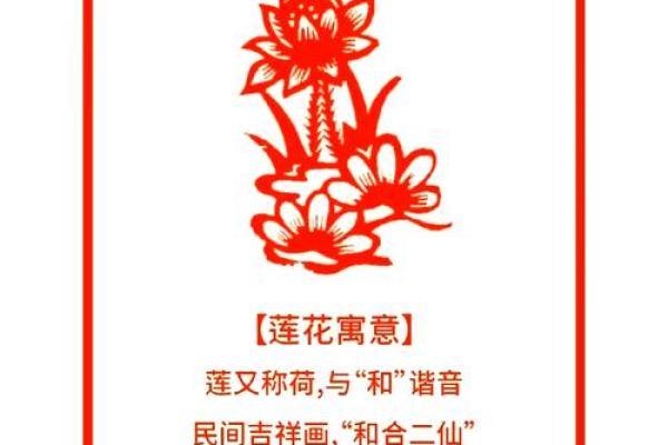 生肖兰花：绽放生肖之美，探寻生肖文化新风尚