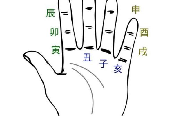 天干掌诀图详解：如何通过手相破解命运密码