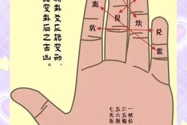 天干掌诀图详解：如何通过手相破解命运密码