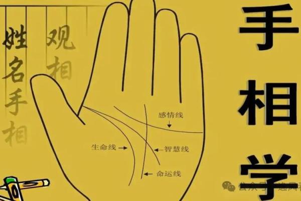 一掌定乾坤揭秘断掌纹手相的惊人秘密
