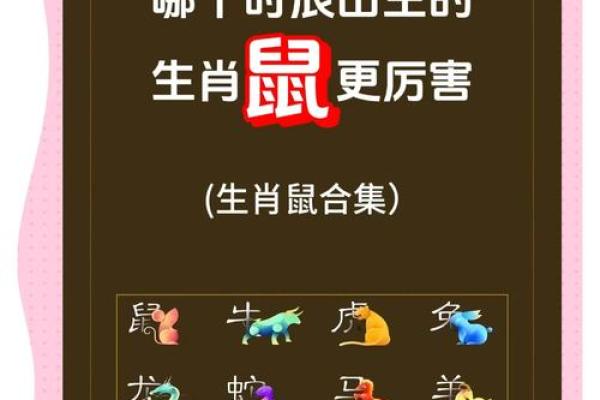 鼠年生肖配对：揭秘最佳伴侣，携手共度幸福时光