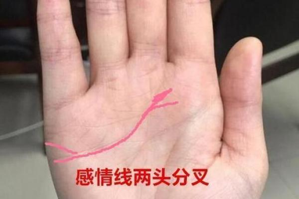 揭秘男女手相差异，原来左右手有这么多秘密