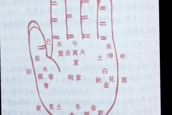 手相揭秘：结几次婚的秘密，一秒看穿你的命运