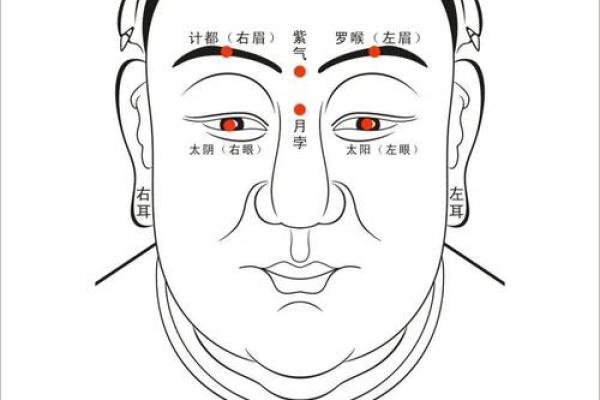 下巴窝深藏富贵气，揭秘面相学中的秘密宝藏
