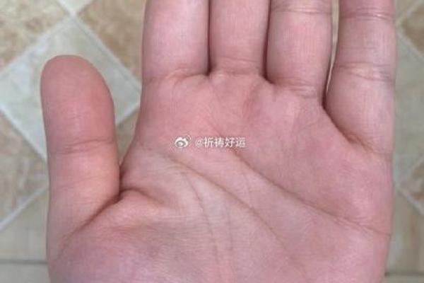 揭秘女性手相：掌握命运密码，美丽女人必备技能