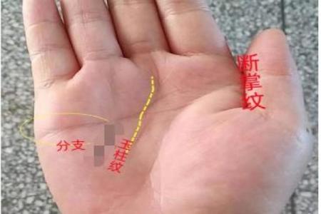 一掌定乾坤揭秘断掌纹手相的惊人秘密