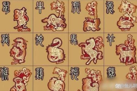 嫉妒生肖：揭秘生肖背后的神秘力量