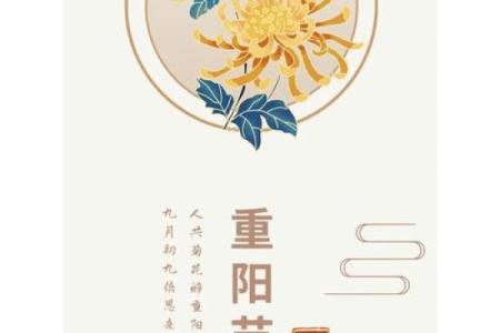 九月初九，重阳佳节，登高赏菊，民俗文化大集结