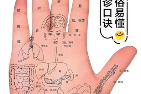 揭秘女性手相：掌握命运密码，美丽女人必备技能