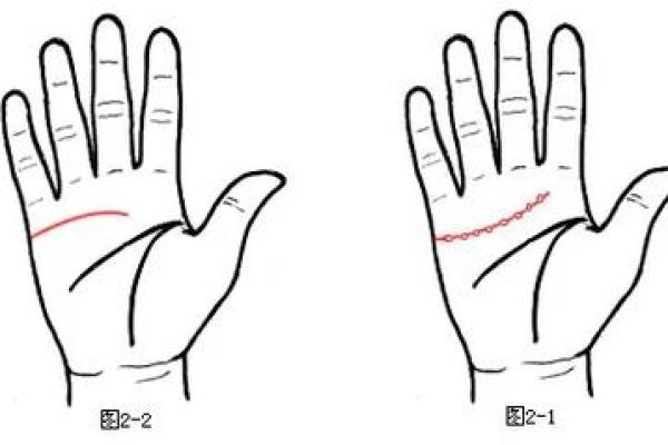 揭秘手相中的神秘‘父’字，财运、健康、爱情全掌握