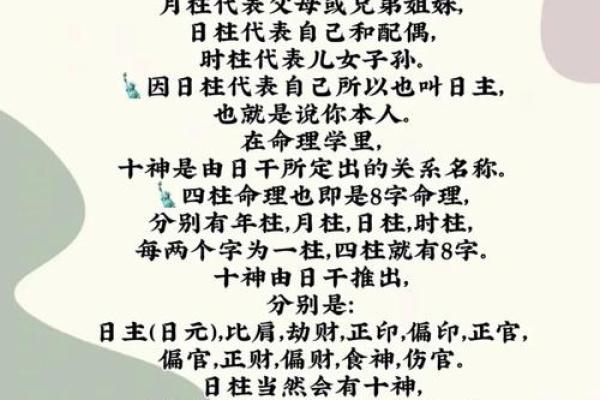 天干元男：揭秘命理中的神秘人物