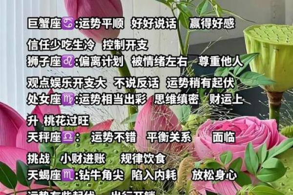 正月十七星座揭秘：揭秘你的星座运势，快来一探究竟