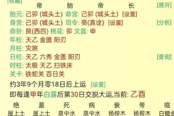 食神透视：天干食神如何影响你的财富与健康