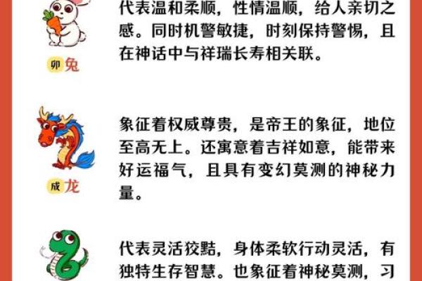 萌动生肖：揭秘弱小动物的生肖归属