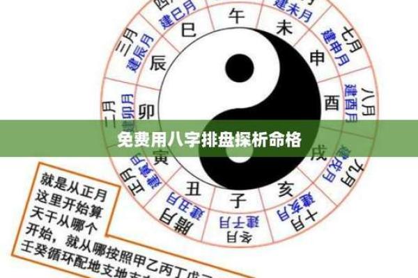 探索大运排盘软件，轻松掌握人生各阶段运势变化