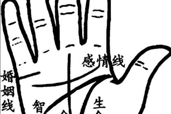 梦到佛祖亲自帮你看手相揭秘手相秘密，运势大揭秘
