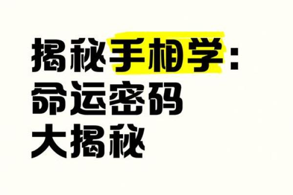 揭秘手相奥秘免费教你读懂命运密码