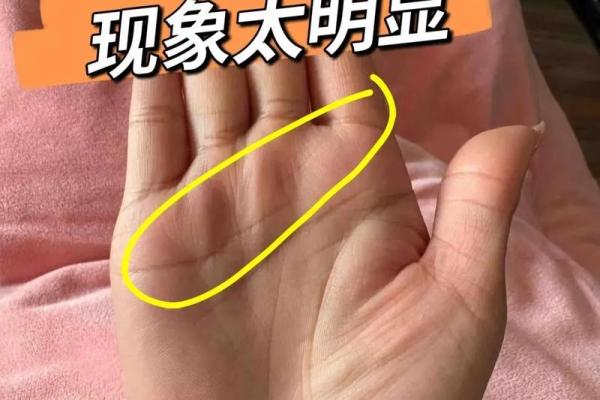 一掌在手，财运亨通：揭秘手相中的财富密码