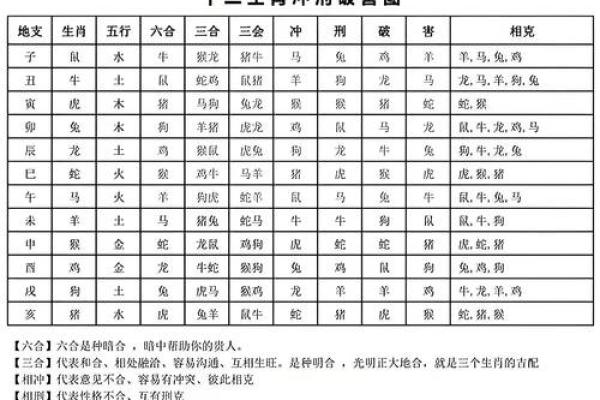 男龙女鼠：相配还是不配？生肖婚配大揭秘