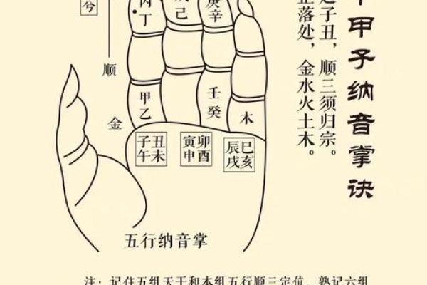 免费纳音命理算命，揭示你的人生命运