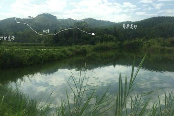 王君植风水秘术：揭秘改变命运的风水布局绝学