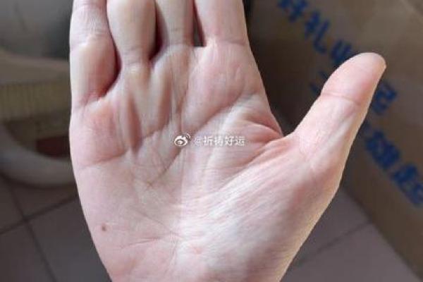 揭秘：女m字纹手相的秘密，运势、爱情全掌握