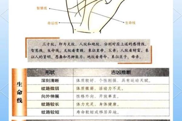 掌心事业线戛然而止，揭秘手相中的事业转折点