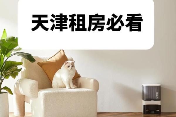 租房必看：这些风水禁忌，让你住得安心又顺心