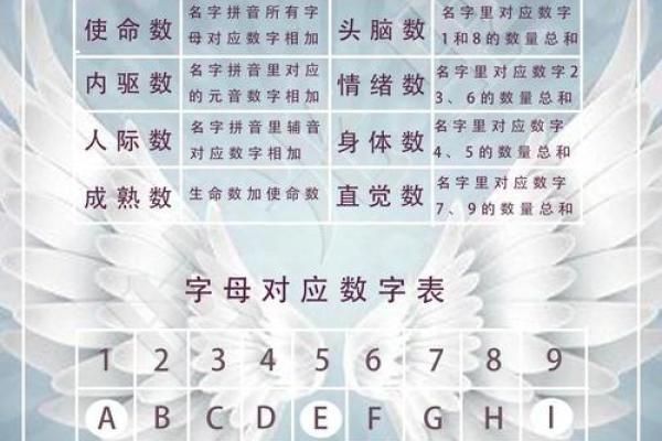 起名元大揭秘，带你走进命名的奥秘世界