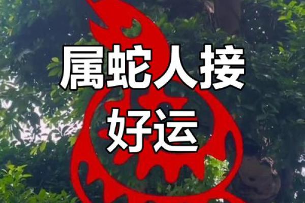 属蛇十月运势大揭秘：揭秘你的命理运势