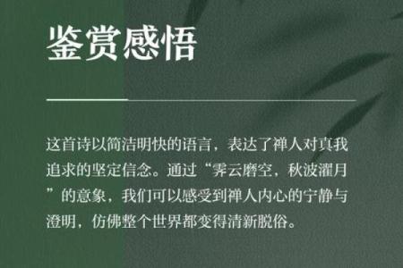 从八字古风短句中寻找心灵的宁静