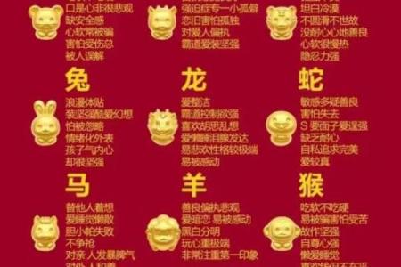 萌动生肖：揭秘弱小动物的生肖归属